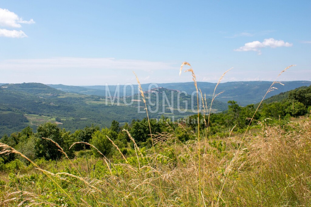 Image 6332021 - 7