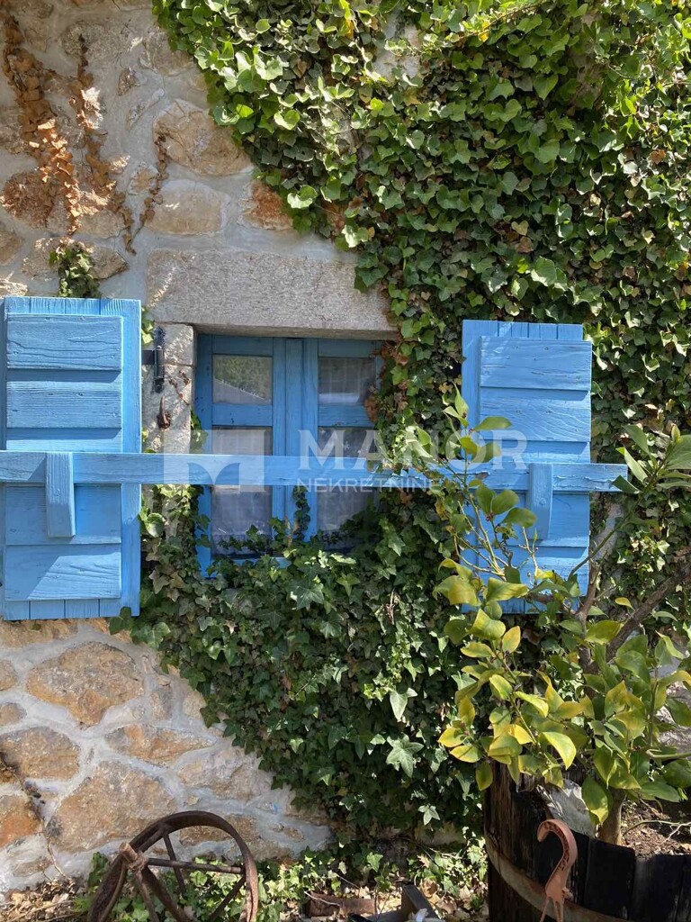 Image 14