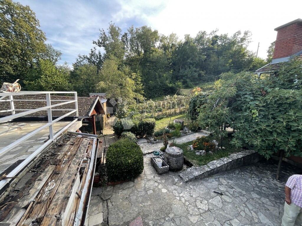 Image 14