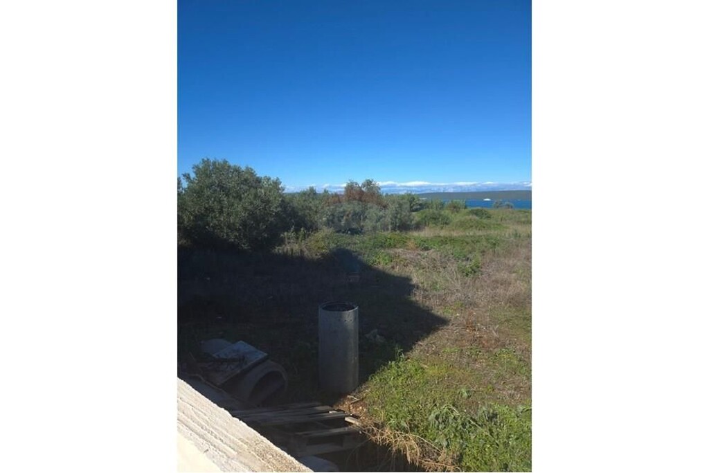 Image 12