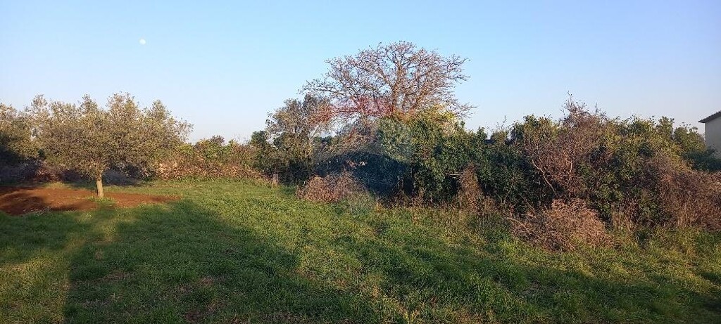 Image 5430294 - 7