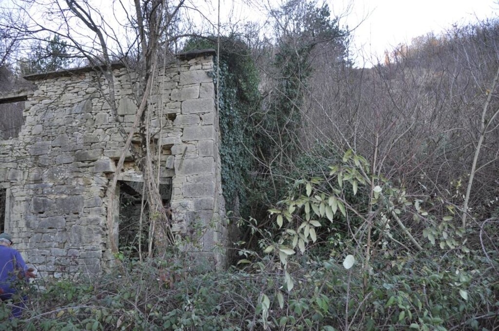 Image 12