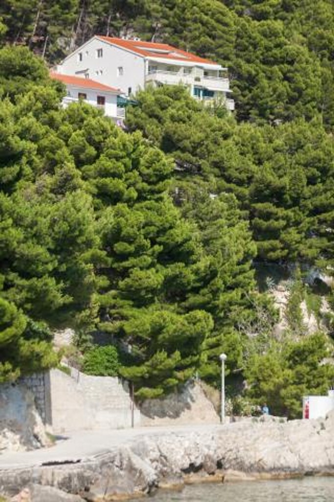 Image 3810646 - 13