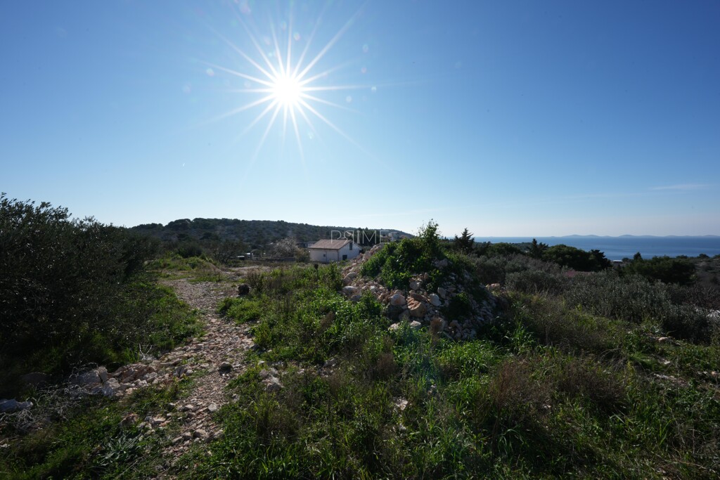 Image 14