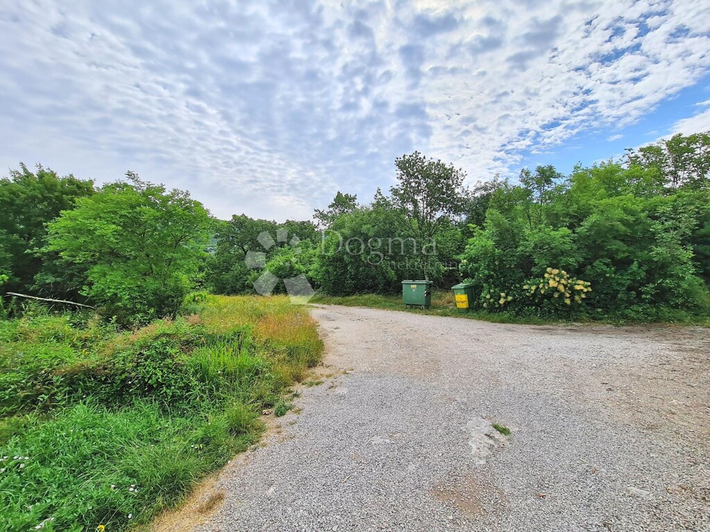 Image 23