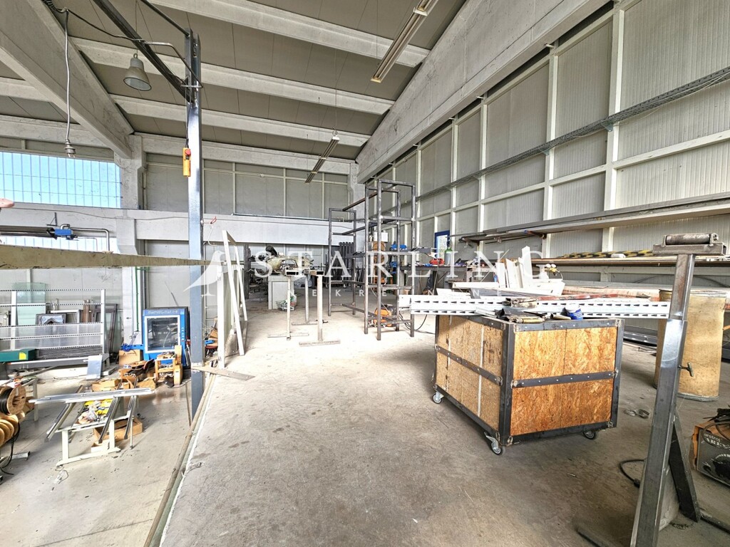 Image 6
