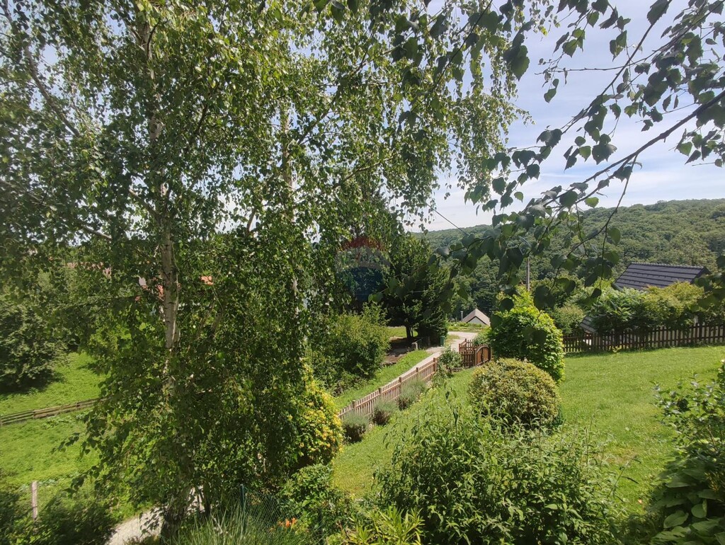 Image 23