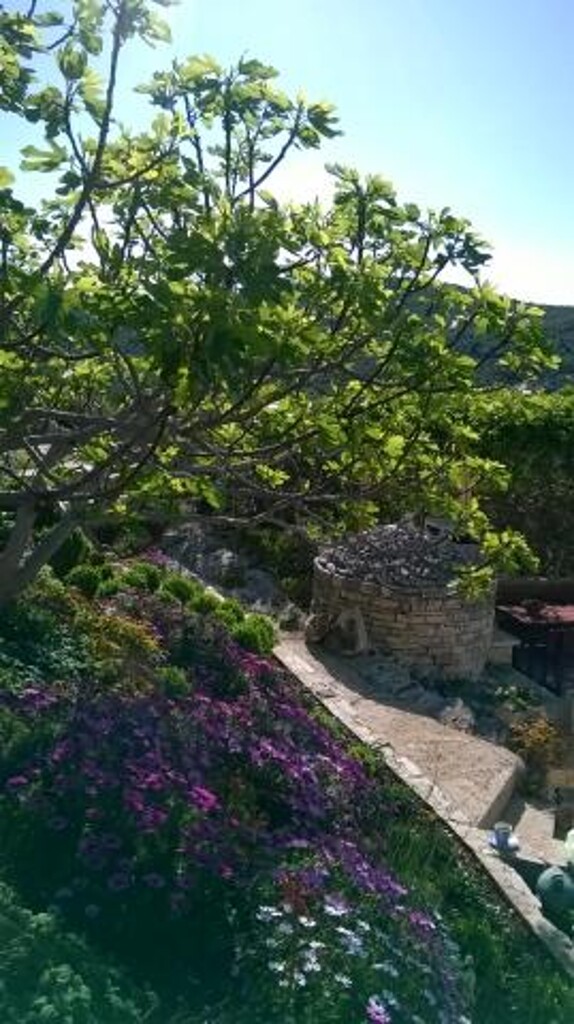 Image 3813448 - 5
