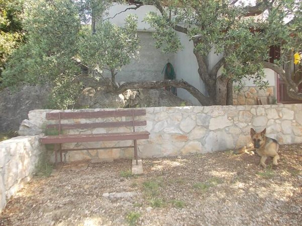 Image 3823616 - 13