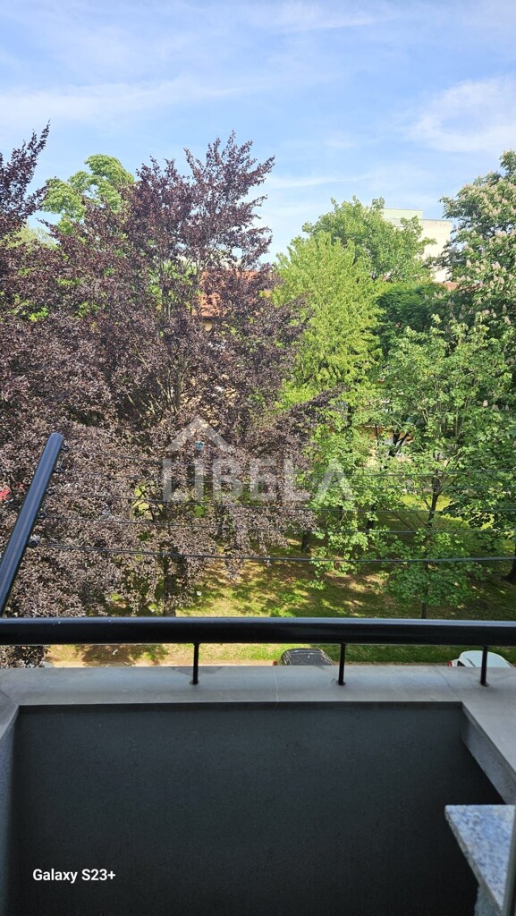 Image 15