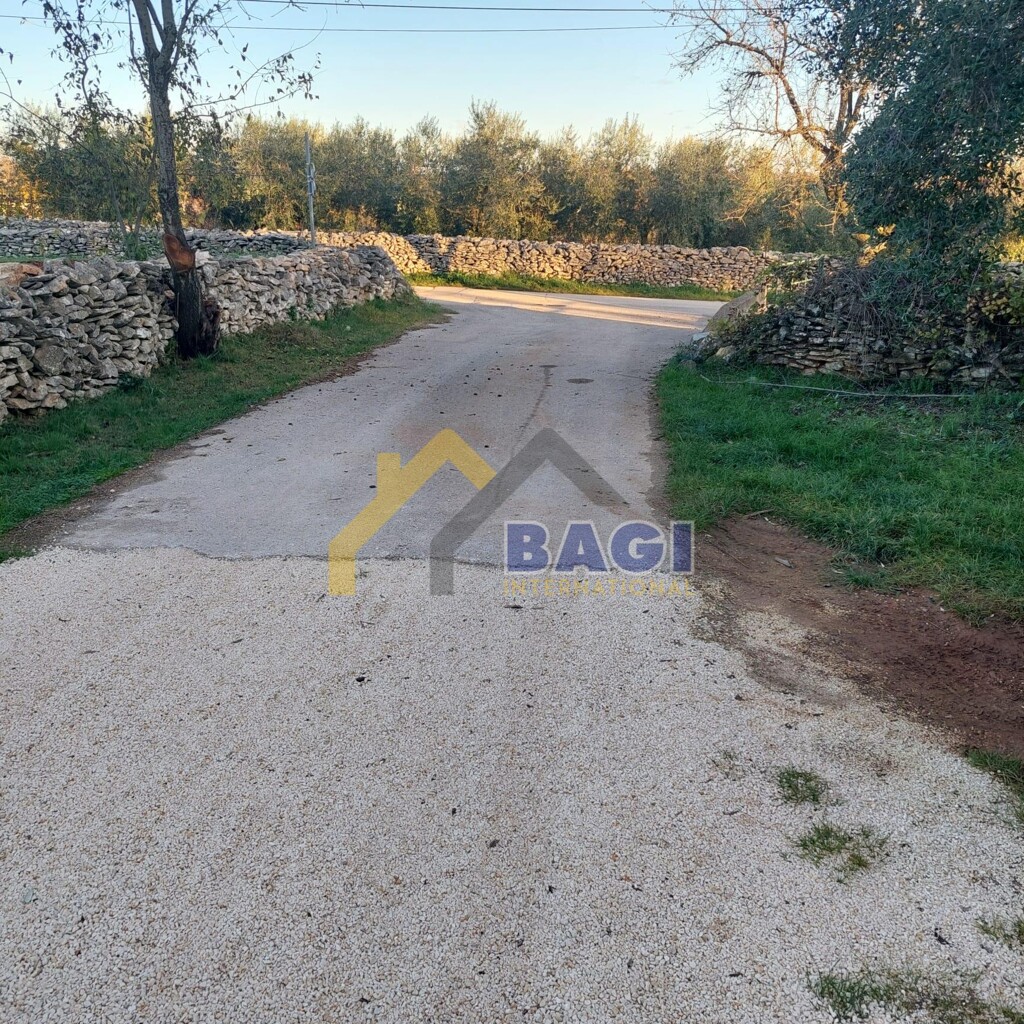 Image 21