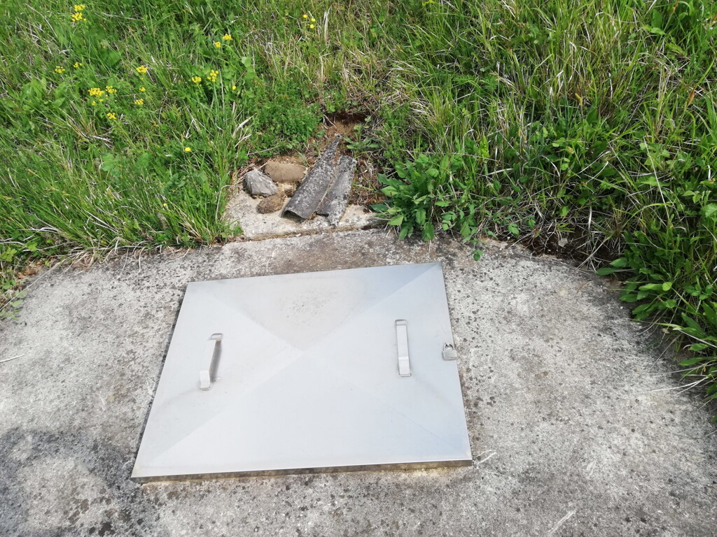 Image 14
