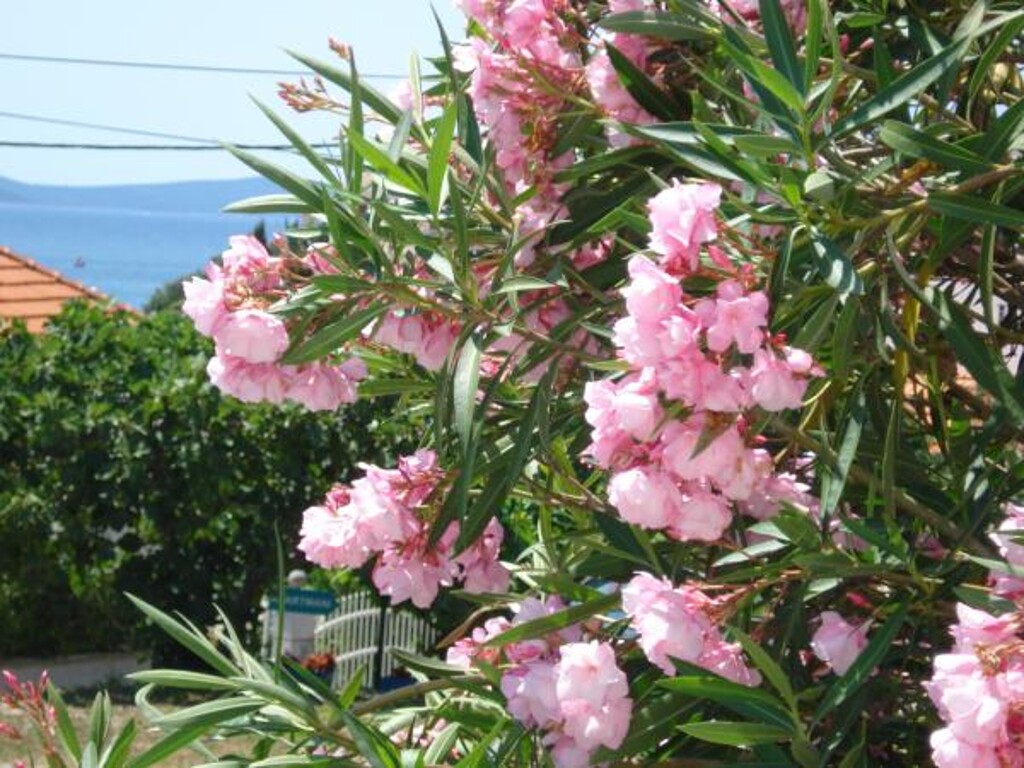 Image 3838866 - 2