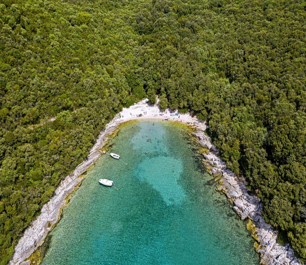 Image 11
