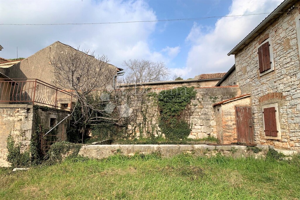 Image 23