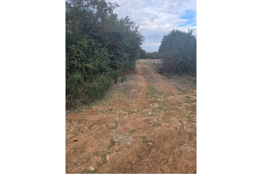 Image 15