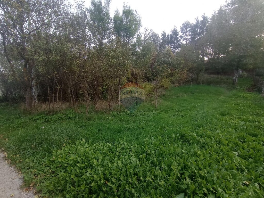 Image 5487649 - 5