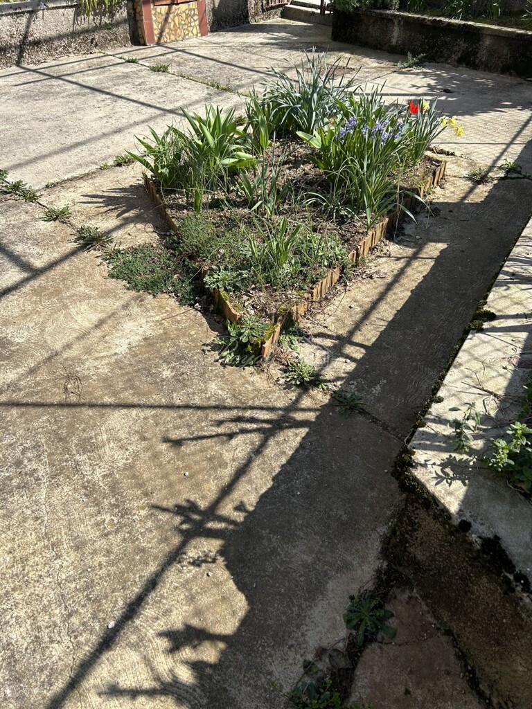 Image 15