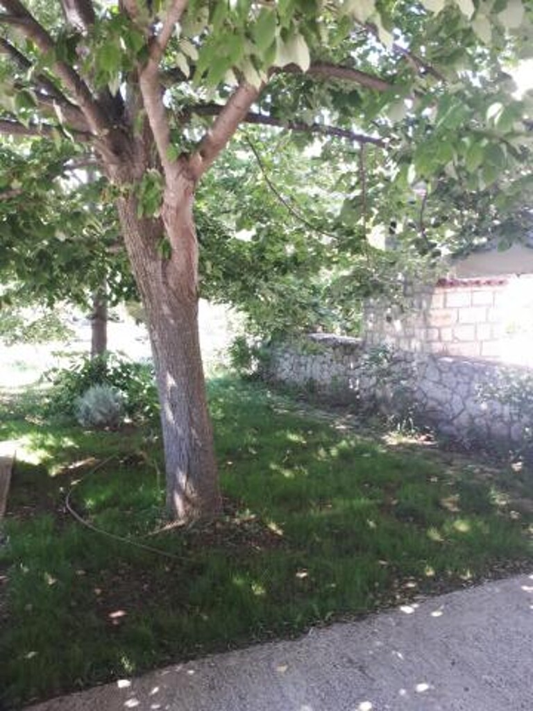 Image 3815193 - 10