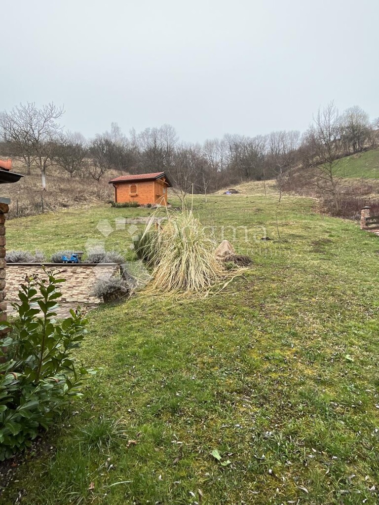 Image 25