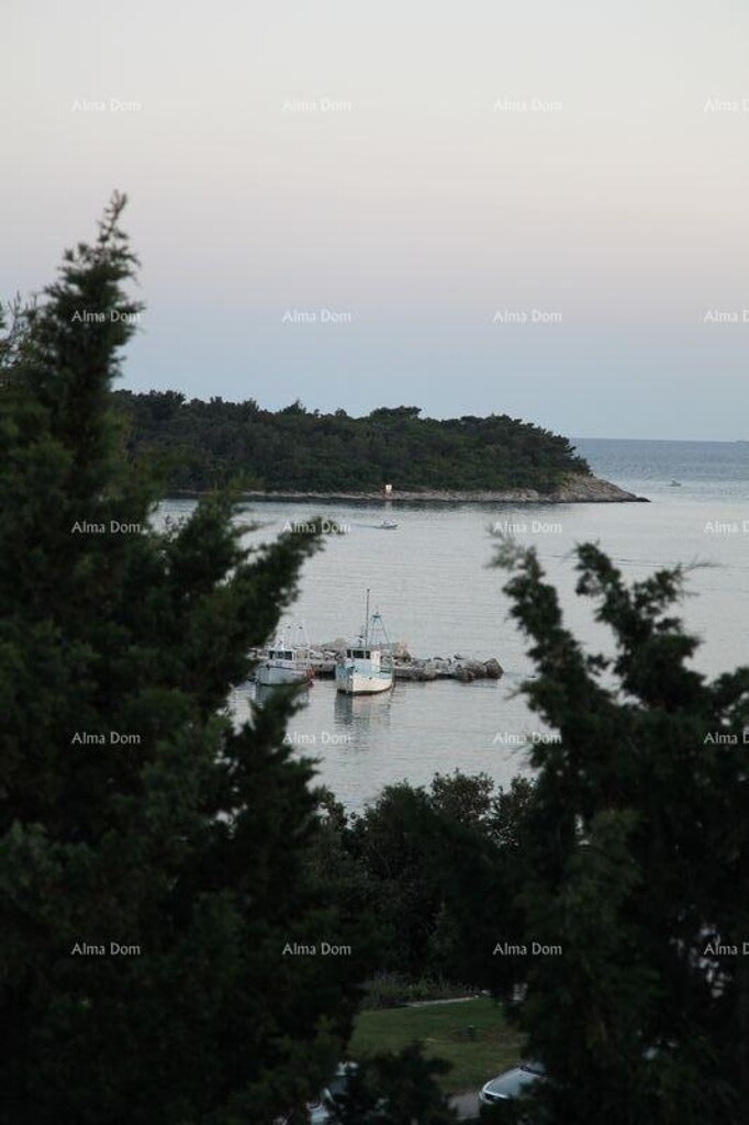 Image 15