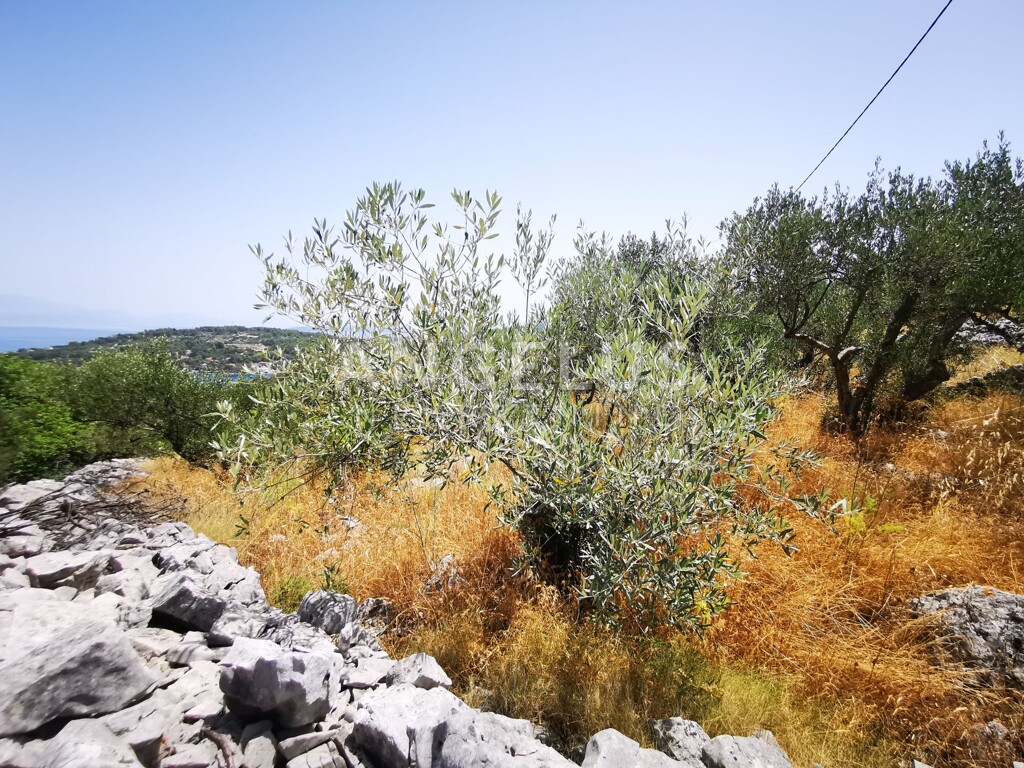 Image 13