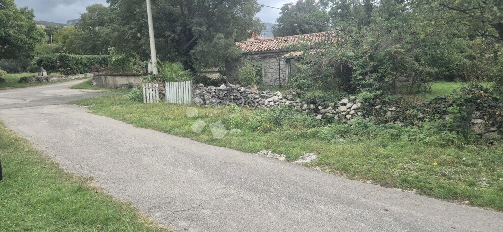 Image 14