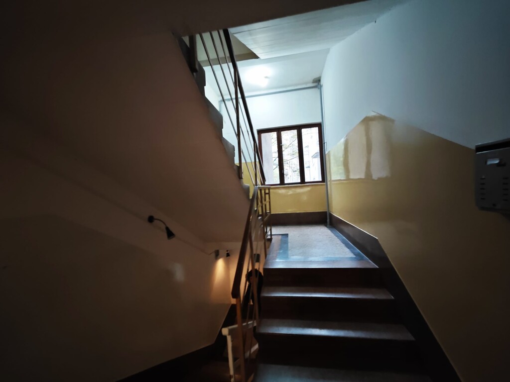 Image 15