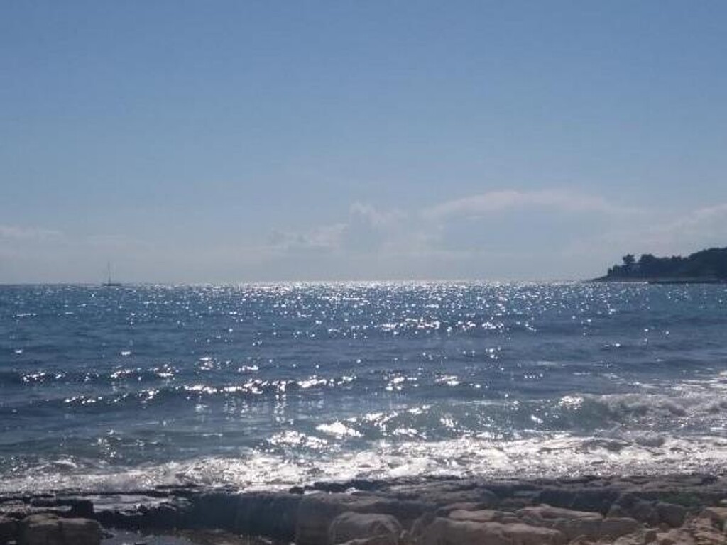 Image 3813911 - 2