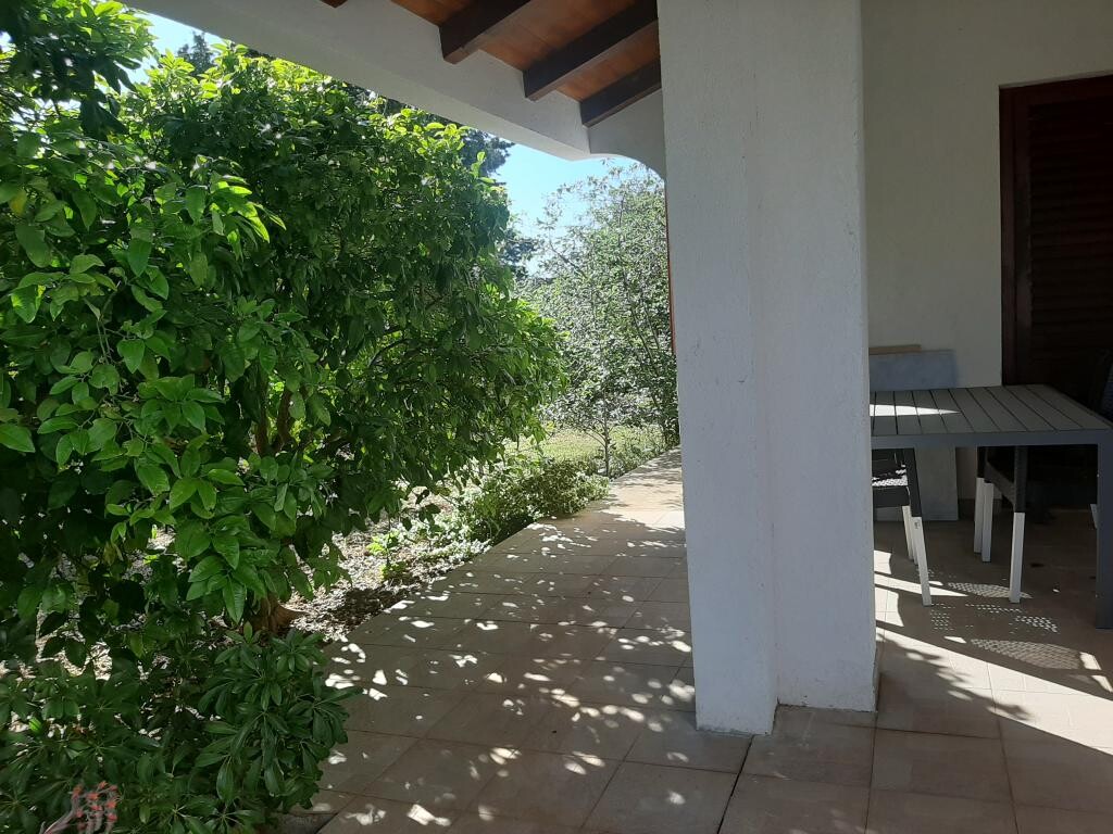 Image 3814686 - 2