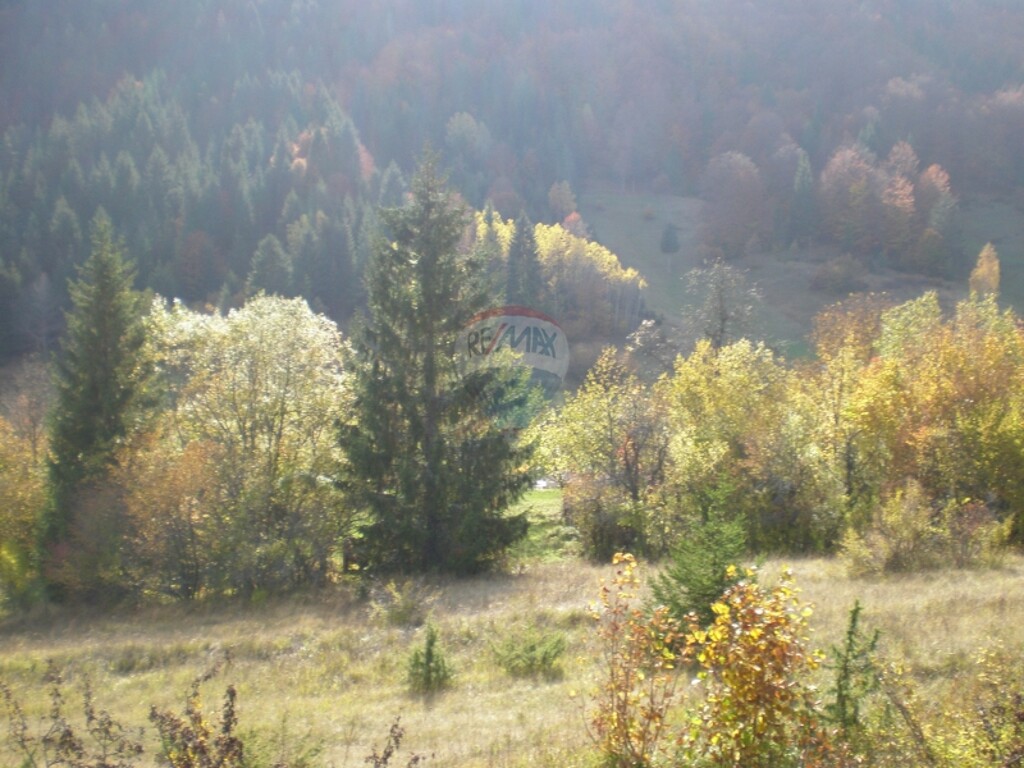 Image 5411131 - 7