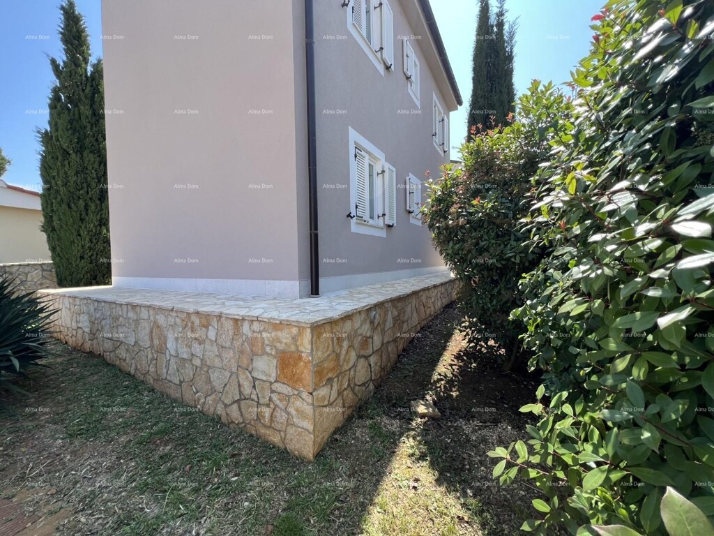 Image 19