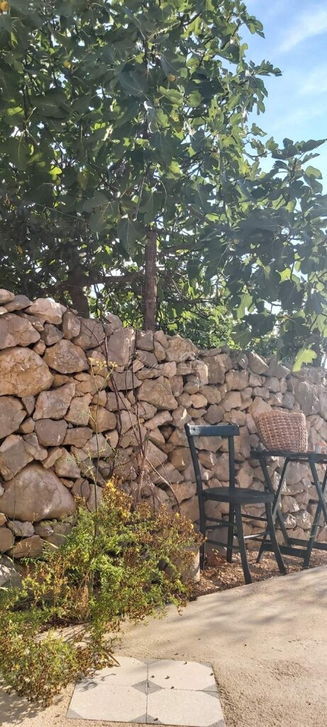 Image 13