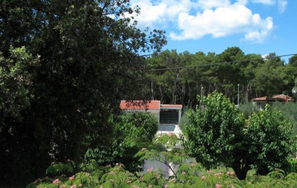 Image 3811577 - 4