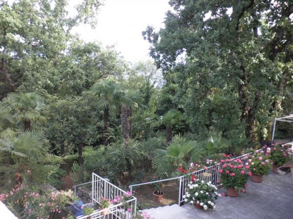 Image 3813494 - 9