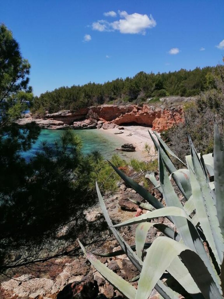 Image 6
