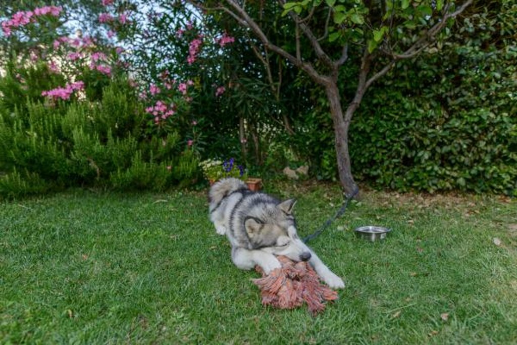 Image 3814012 - 9