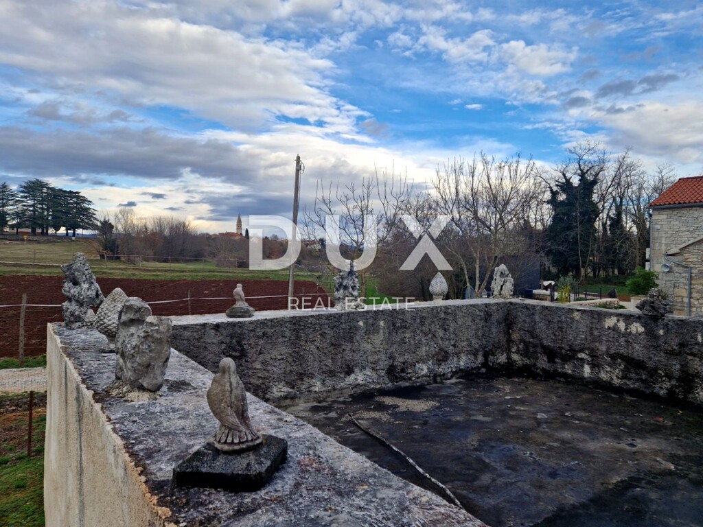 Image 19