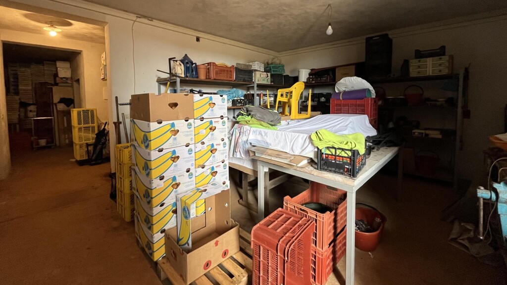 Image 22