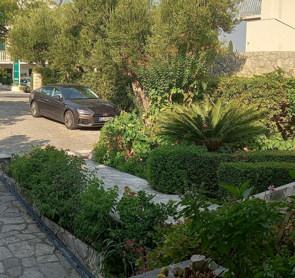 Image 3810861 - 2