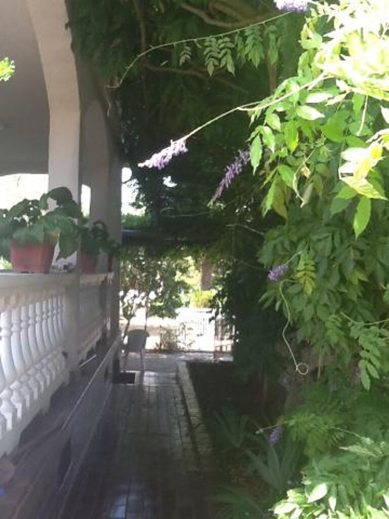Image 3838730 - 8