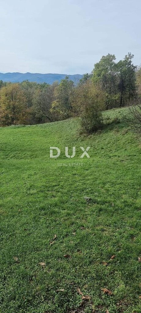 Image 16