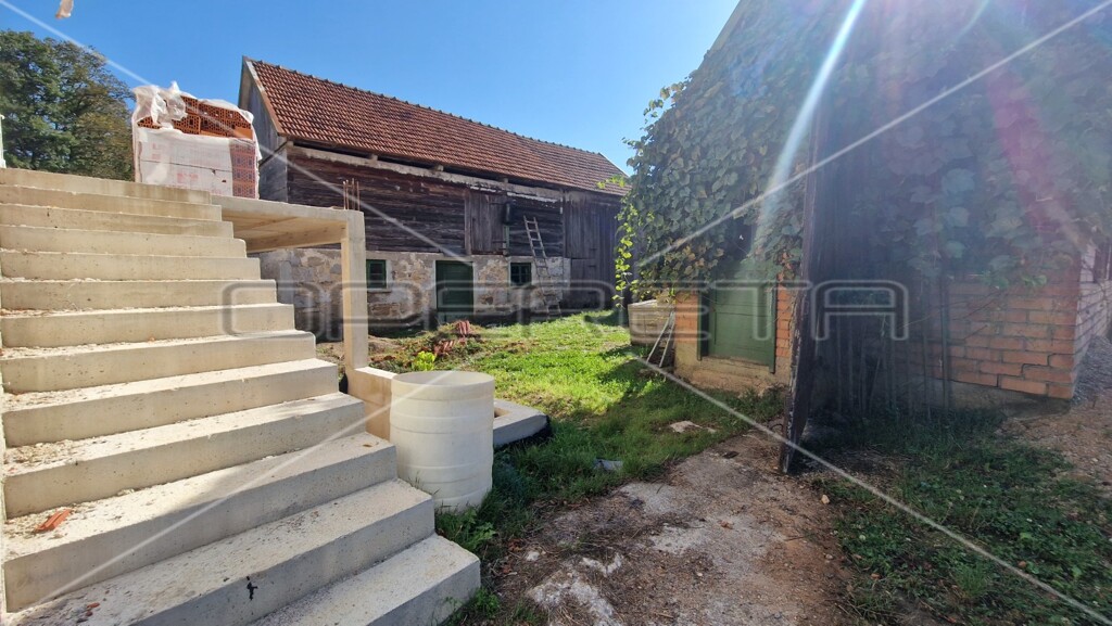 Image 12
