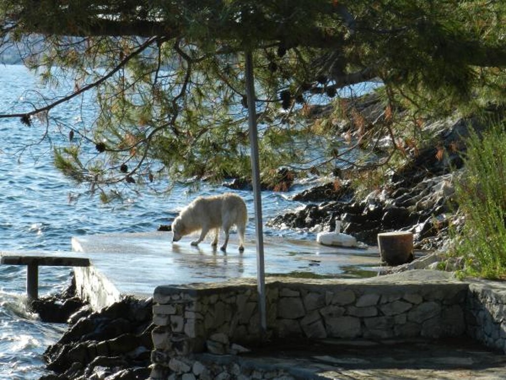 Image 3811847 - 6