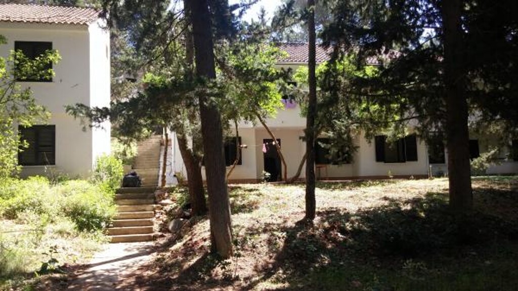 Image 3813687 - 8