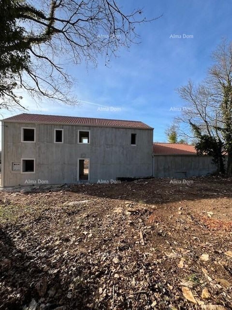 Image 10