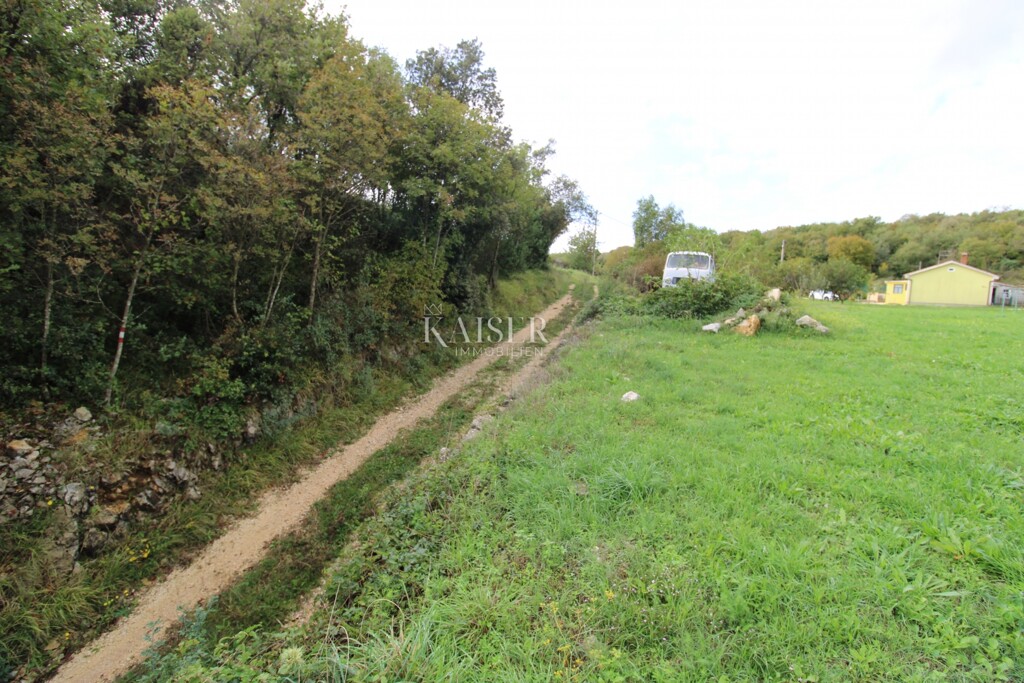 Image 14
