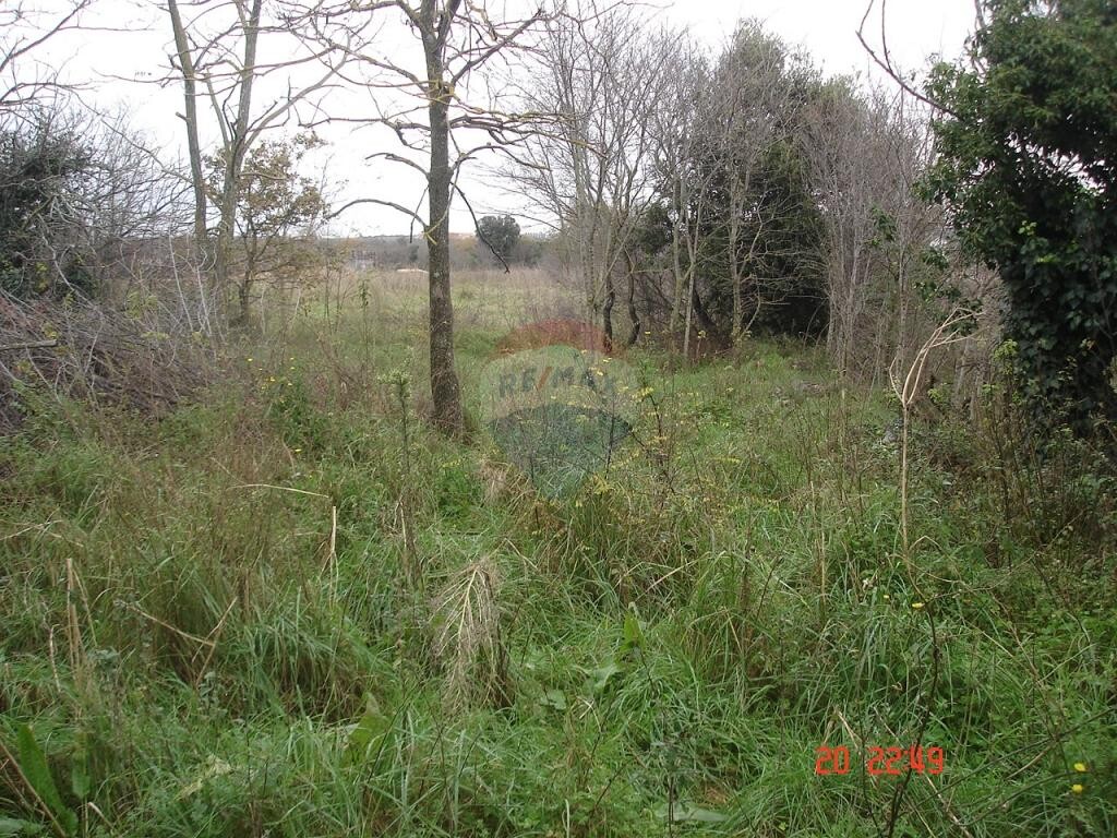 Image 5410942 - 2