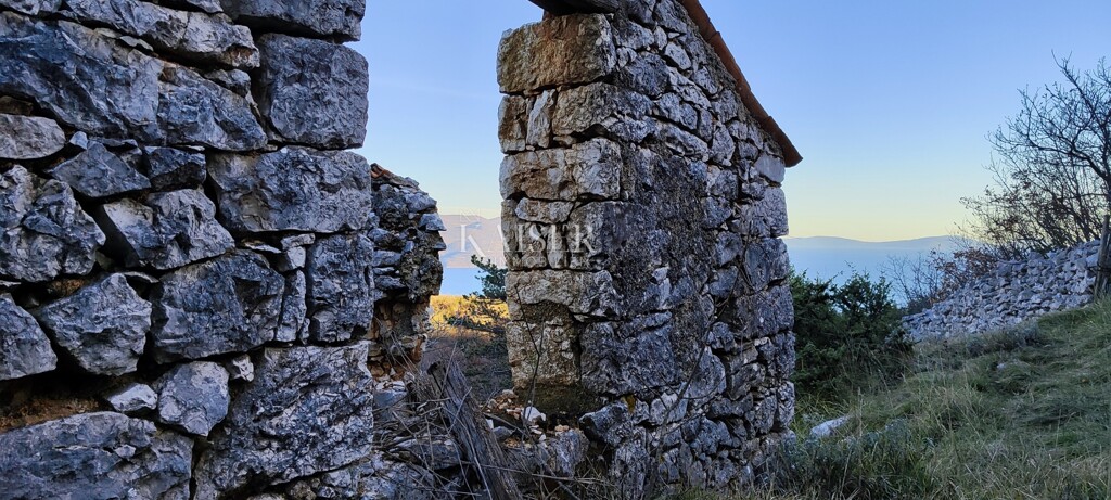 Image 14
