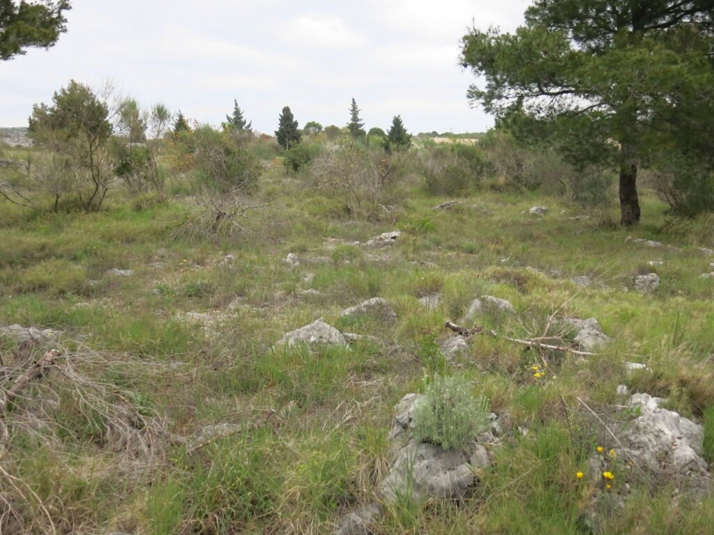 Image 4950662 - 8
